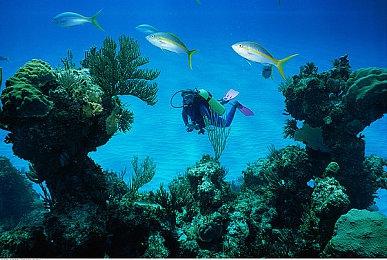 3goo社任天堂＆PS游戏年末大促开启 最大97%优惠